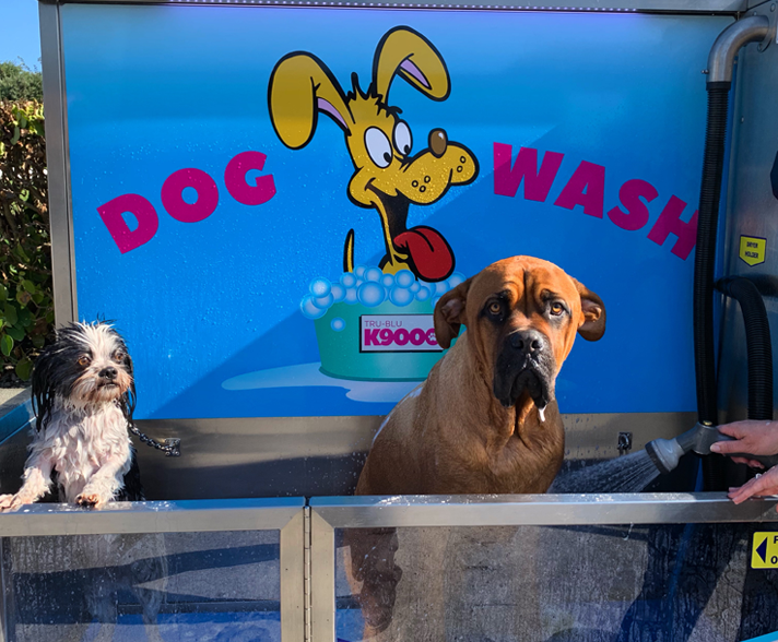 Dog Wash